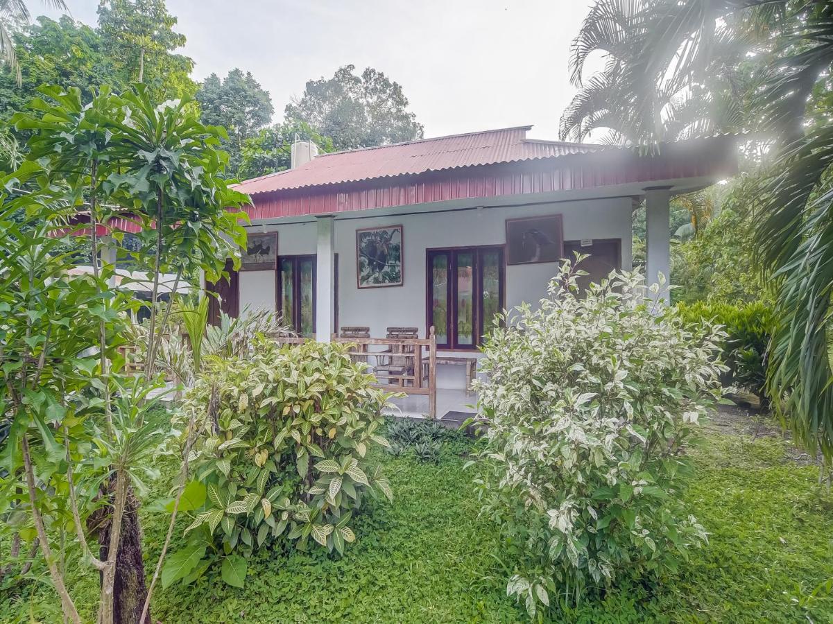 Oyo 90988 Tangkoko Jungle Homestay Rinondoran Экстерьер фото