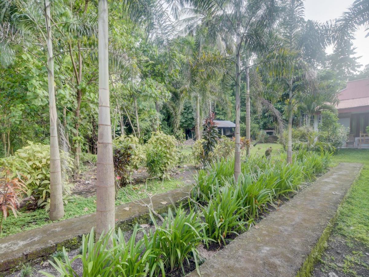 Oyo 90988 Tangkoko Jungle Homestay Rinondoran Экстерьер фото