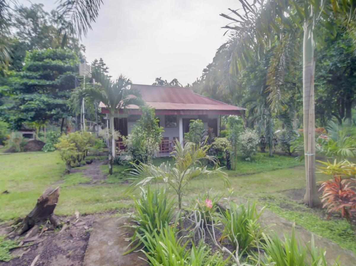 Oyo 90988 Tangkoko Jungle Homestay Rinondoran Экстерьер фото